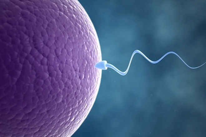 Nil Sperm Count